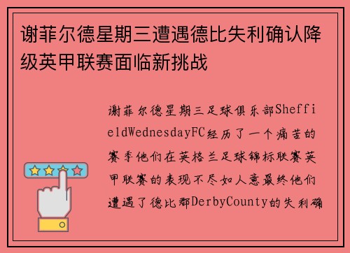 谢菲尔德星期三遭遇德比失利确认降级英甲联赛面临新挑战